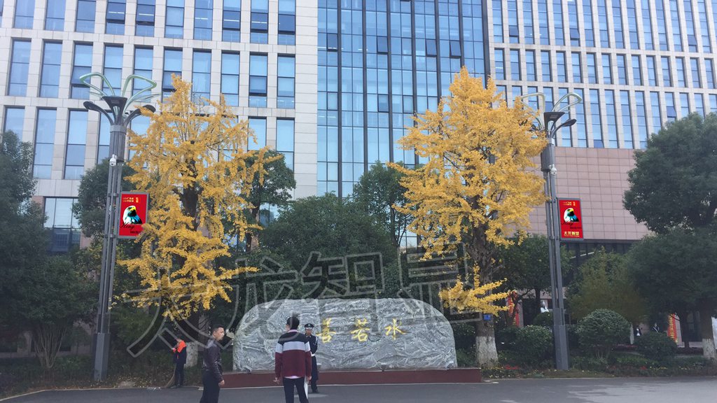 湖南長沙天園地基LED燈桿屏項(xiàng)目 (2).jpg 湖南長沙天園地基LED燈桿屏項(xiàng)目 (2).jpg