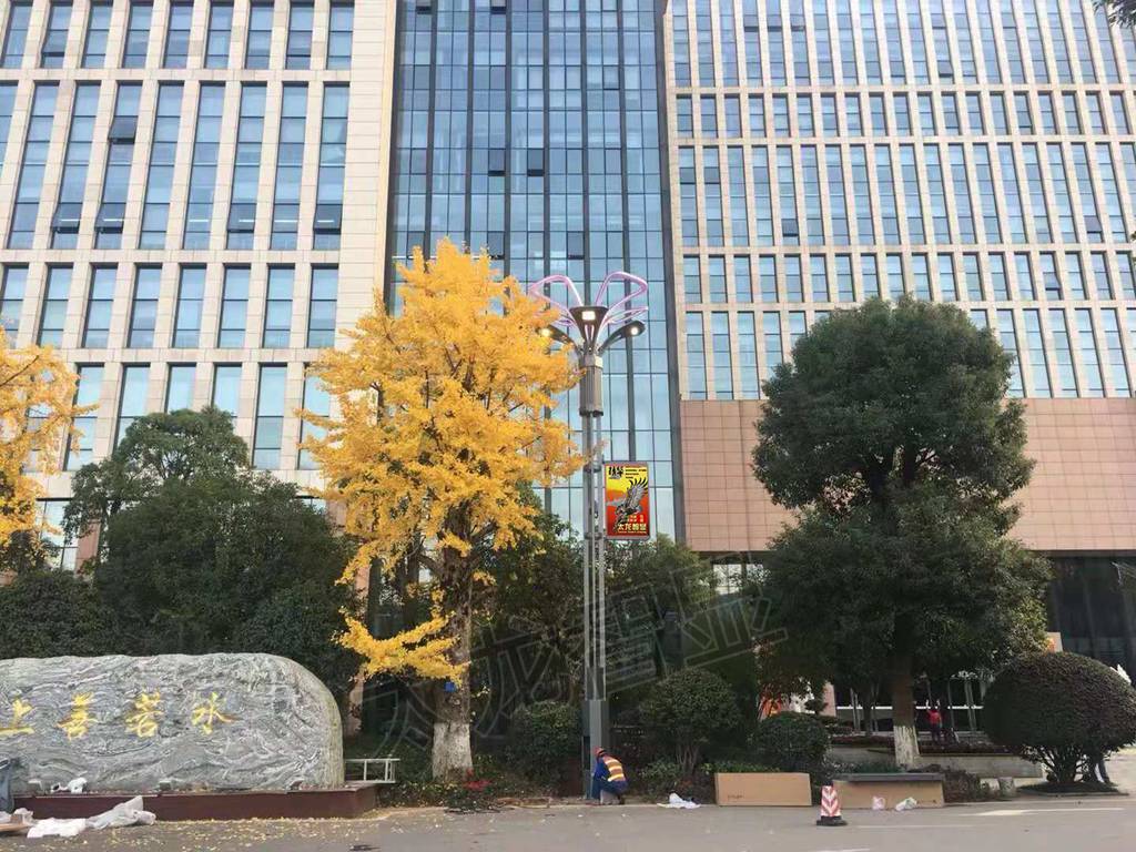 湖南長沙天園地基LED燈桿屏項目 (8).jpg 湖南長沙天園地基LED燈桿屏項目 (8).jpg
