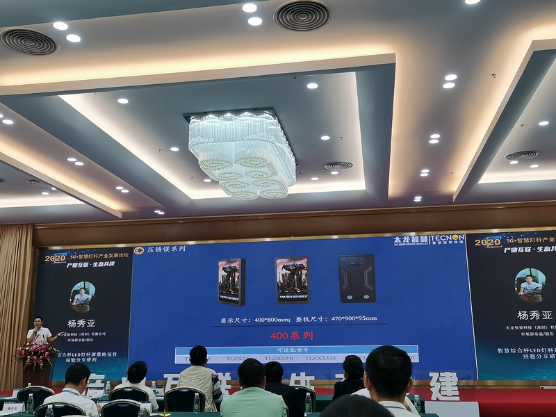 太龍智顯LED燈桿屏5.jpg 太龍智顯LED燈桿屏5.jpg