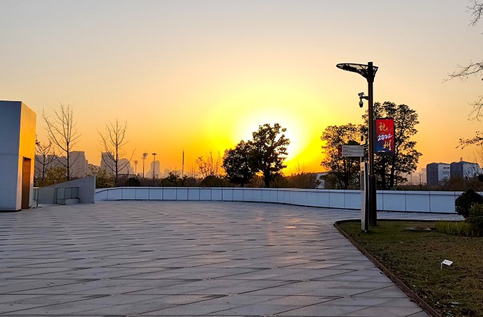 LED燈桿屏 LED燈桿屏