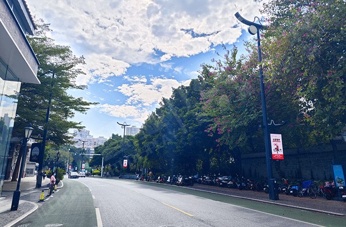 智慧燈桿,智慧路燈 智慧燈桿,智慧路燈