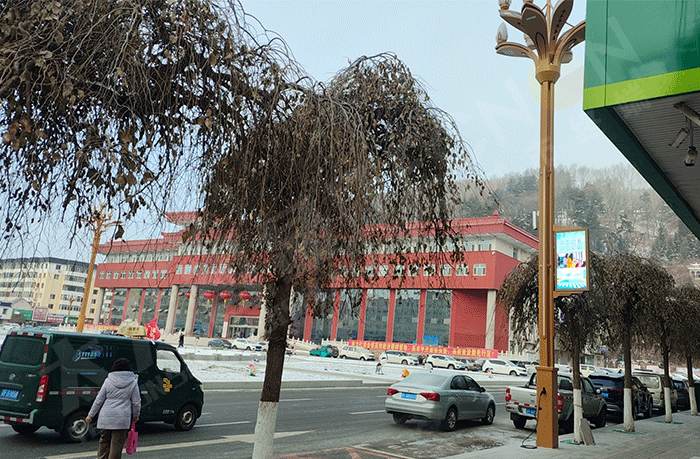 LED燈桿屏,燈桿屏 LED燈桿屏,燈桿屏